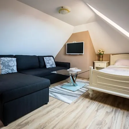 Luksuzni Apartment *